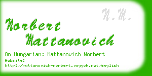 norbert mattanovich business card